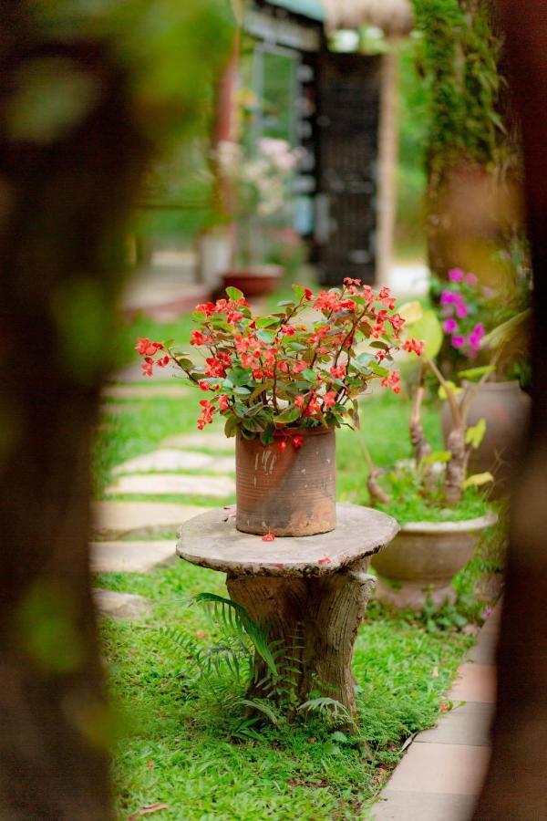Phong Nha Tuan Garden House Apartment Bagian luar foto