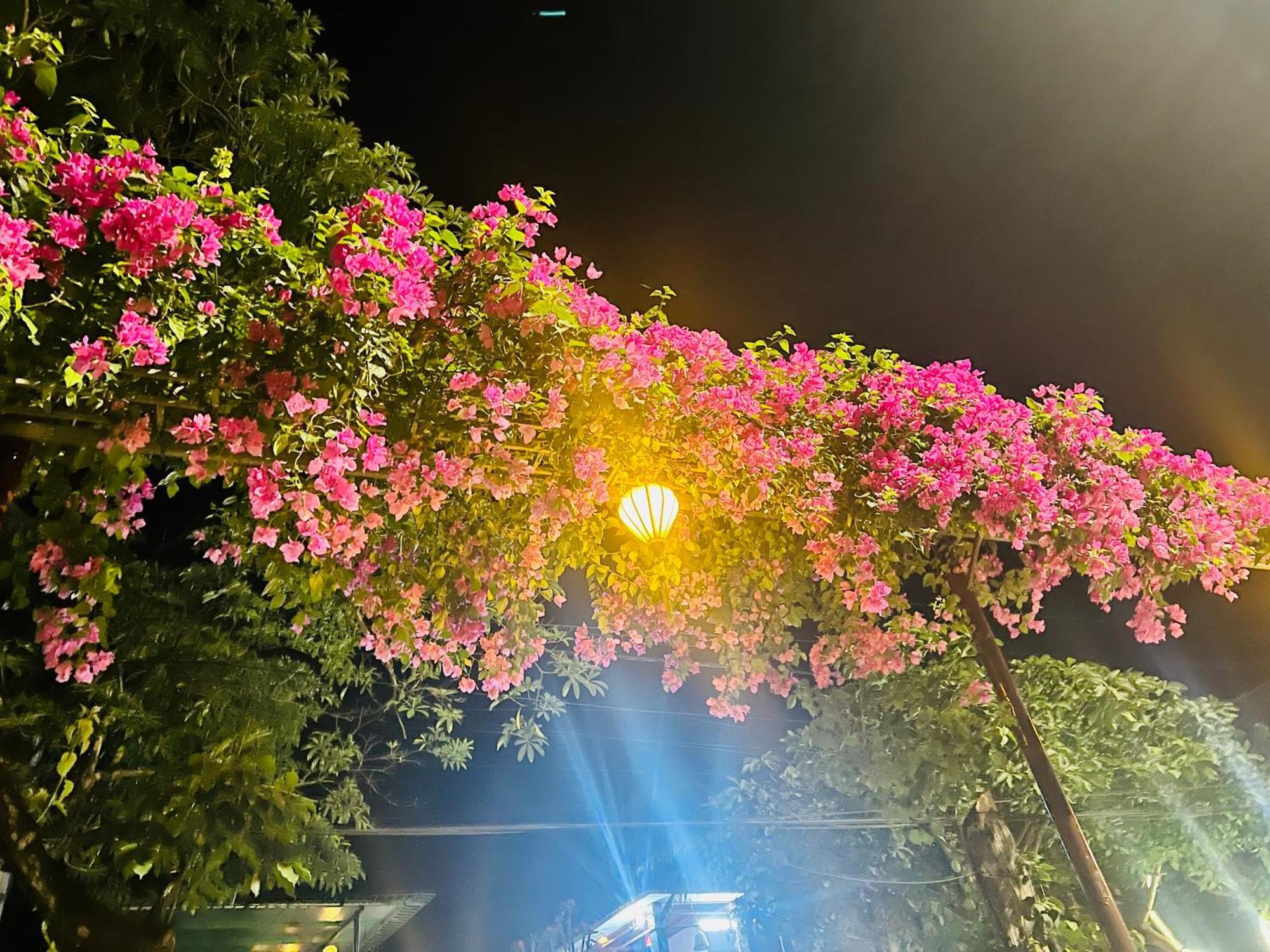 Phong Nha Tuan Garden House Apartment Bagian luar foto