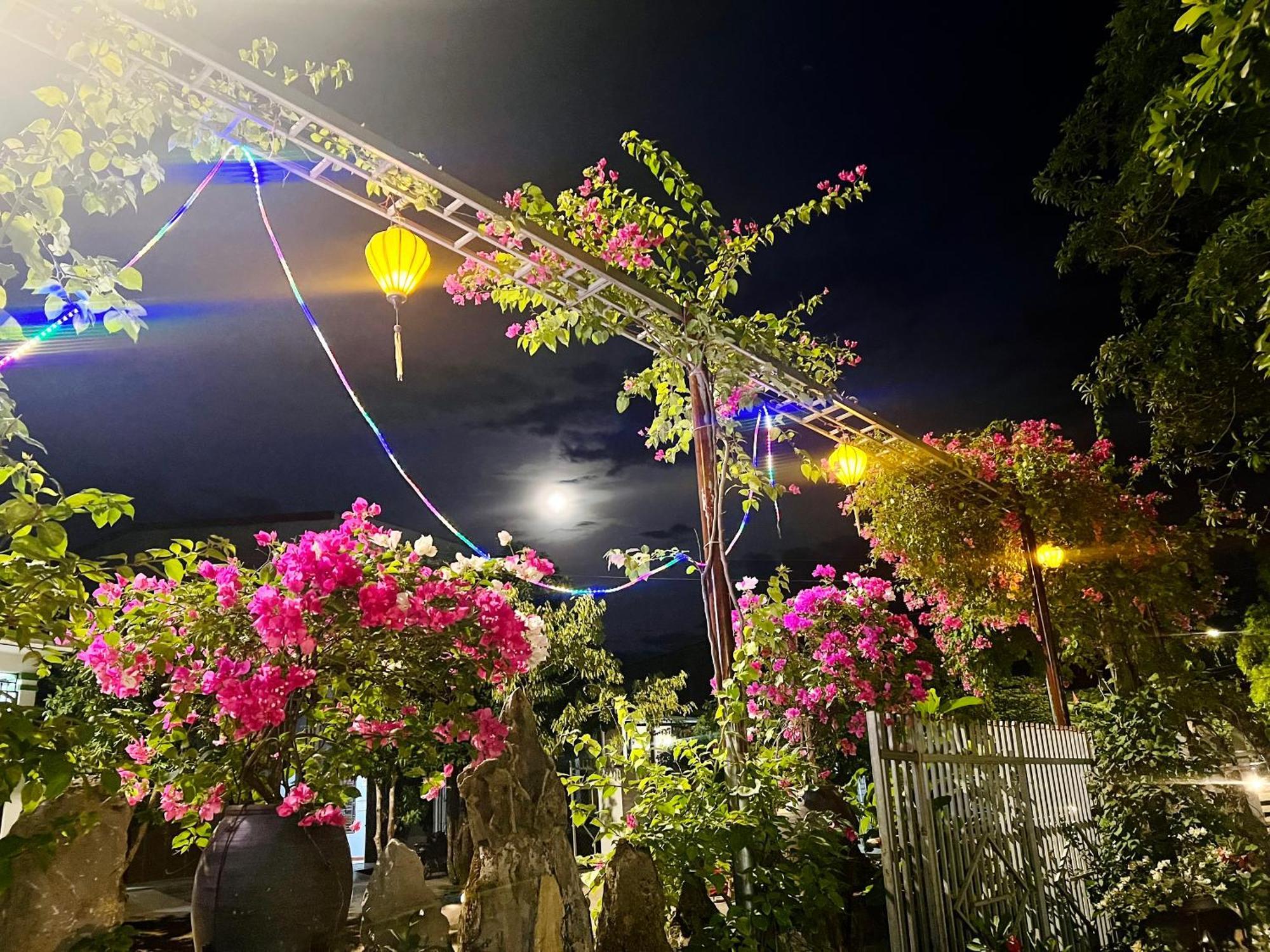 Phong Nha Tuan Garden House Apartment Bagian luar foto